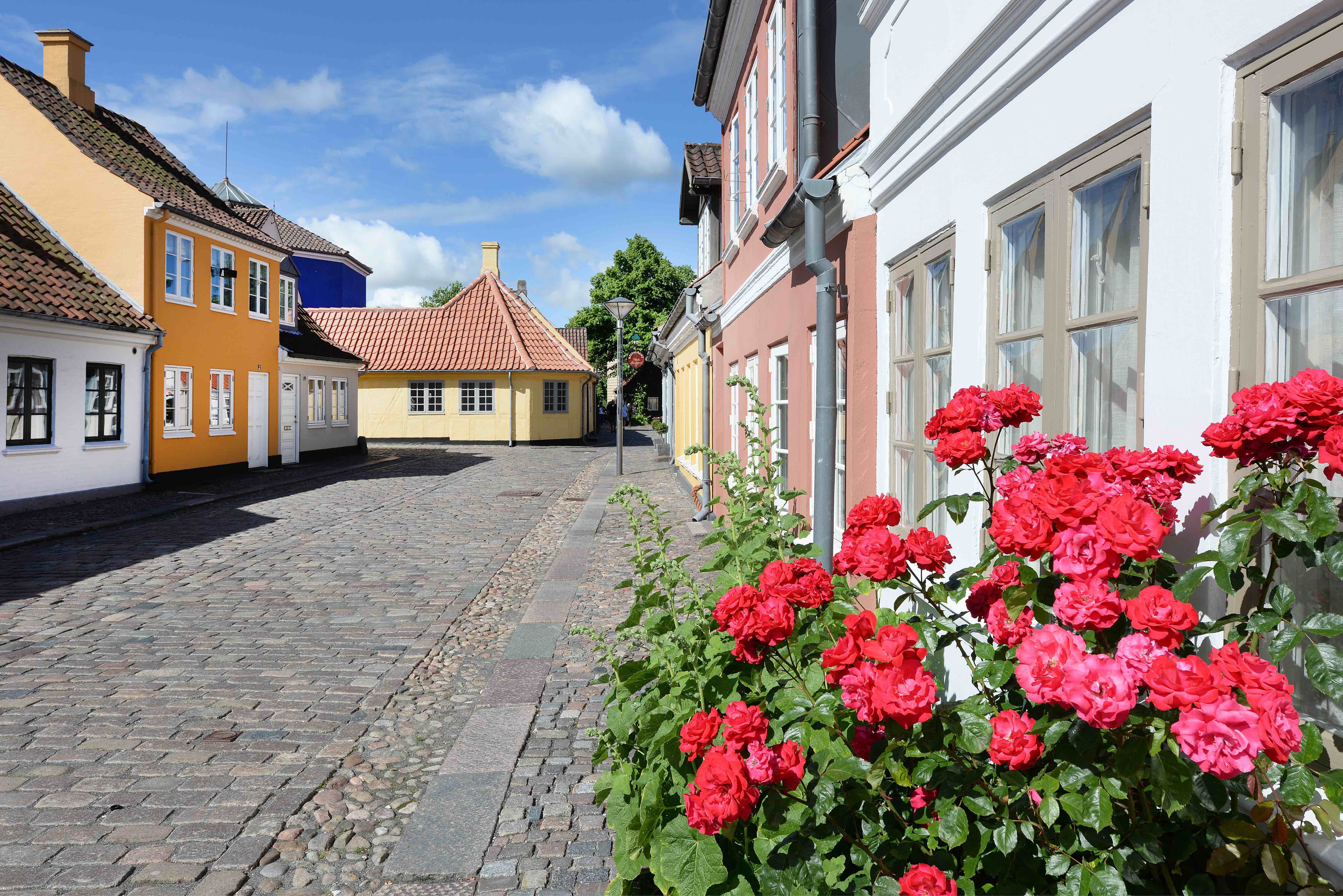 欧登塞（Odense）